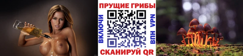 Галлюциногенные грибы GOLDEN TEACHER  Курчатов 