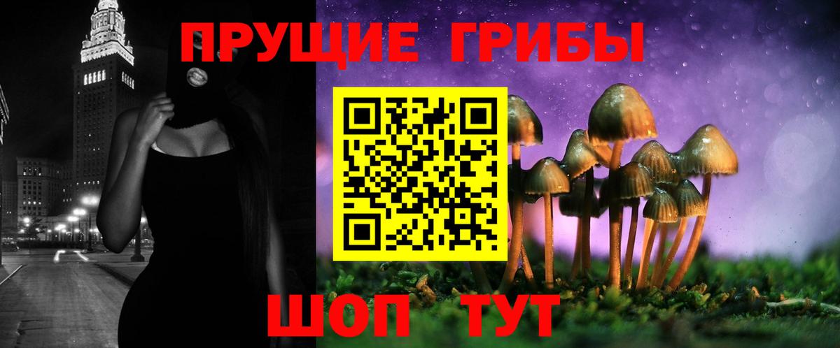 Псилоцибиновые грибы MAGIC MUSHROOMS Курчатов